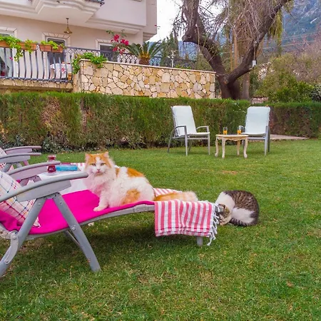 Badem Villa Fethiye